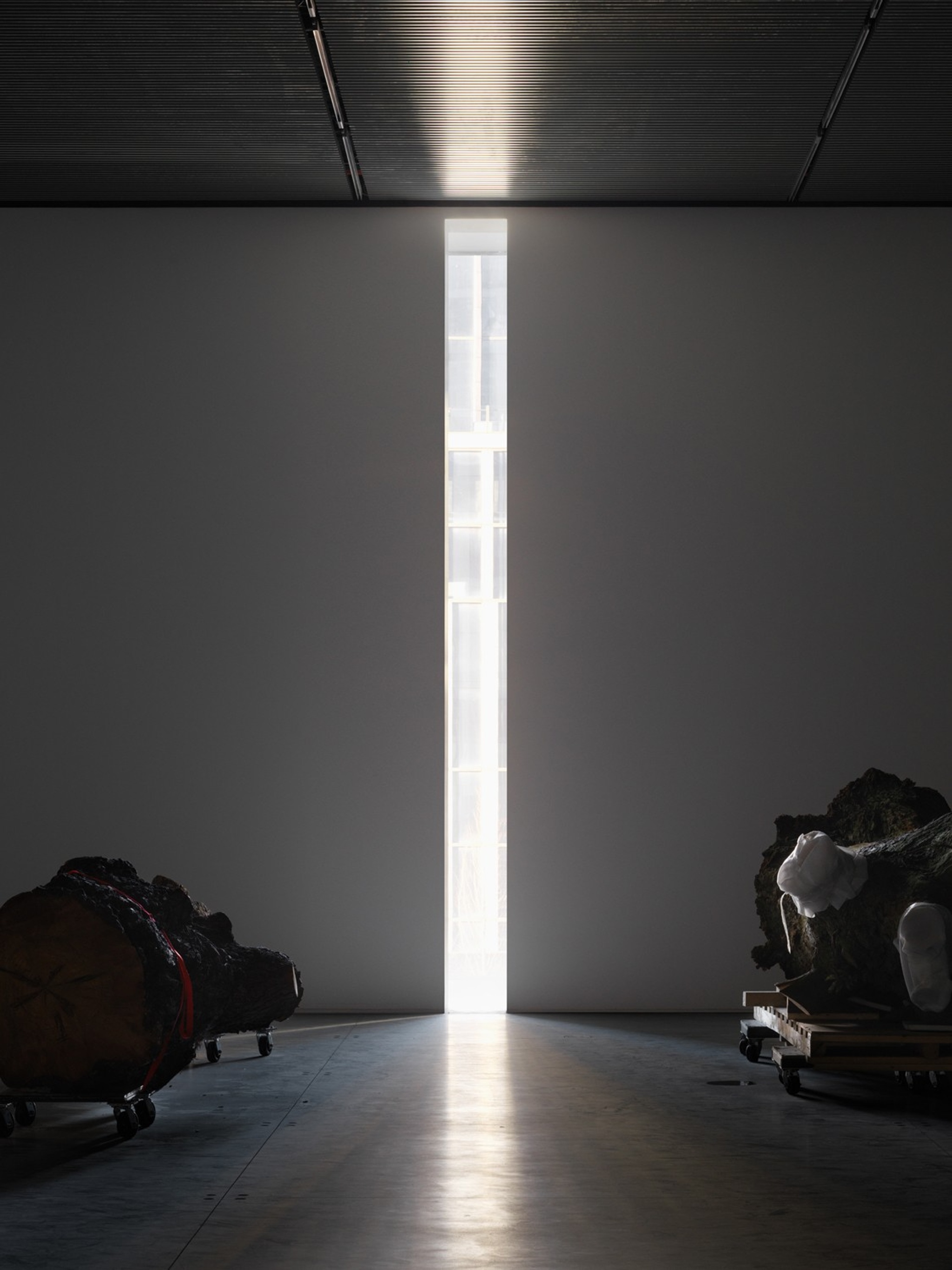 An Installation view of the exhibition Trisha Donnelly showing two trees on either side of a wall cut out to let in a column of light into the gallery