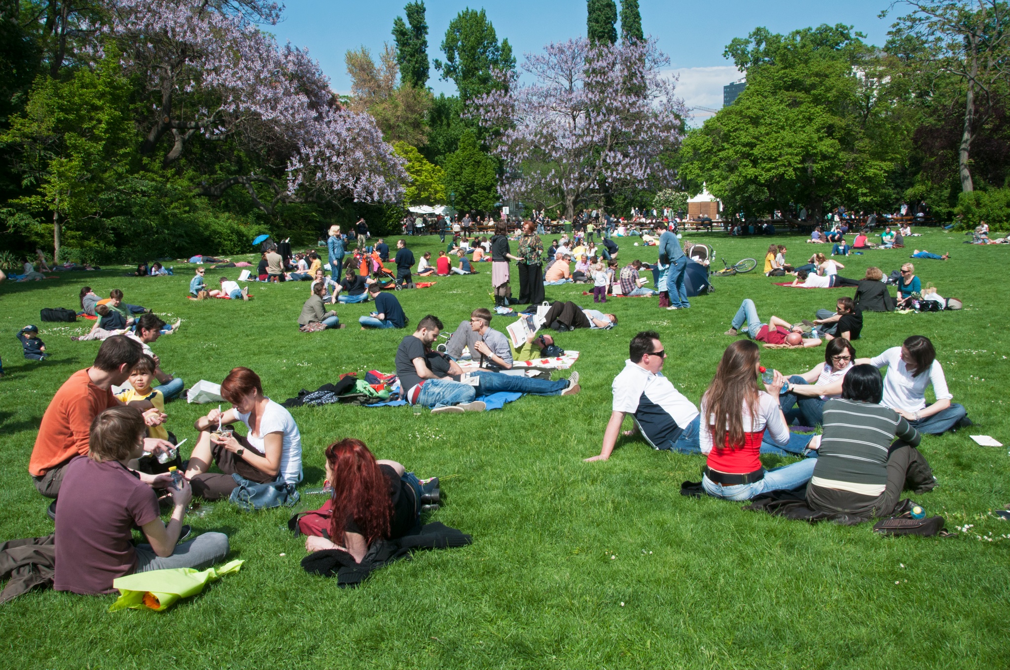 Park-goers seated on blankets in a field on a sunny day