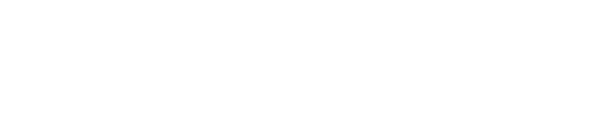 A company logo reading Raiola Co. in white letters