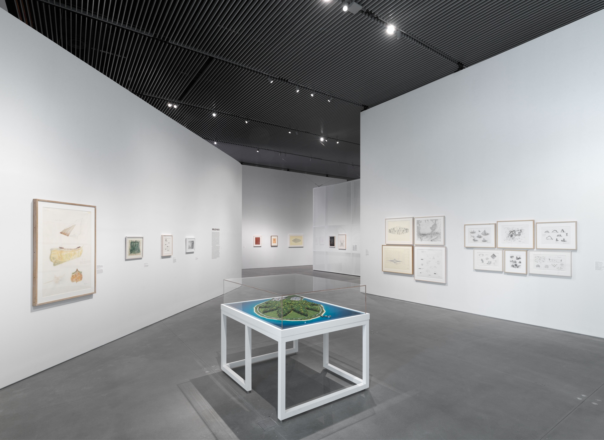 An installation view of Agnes Denes' work for Absolutes and Intermediates