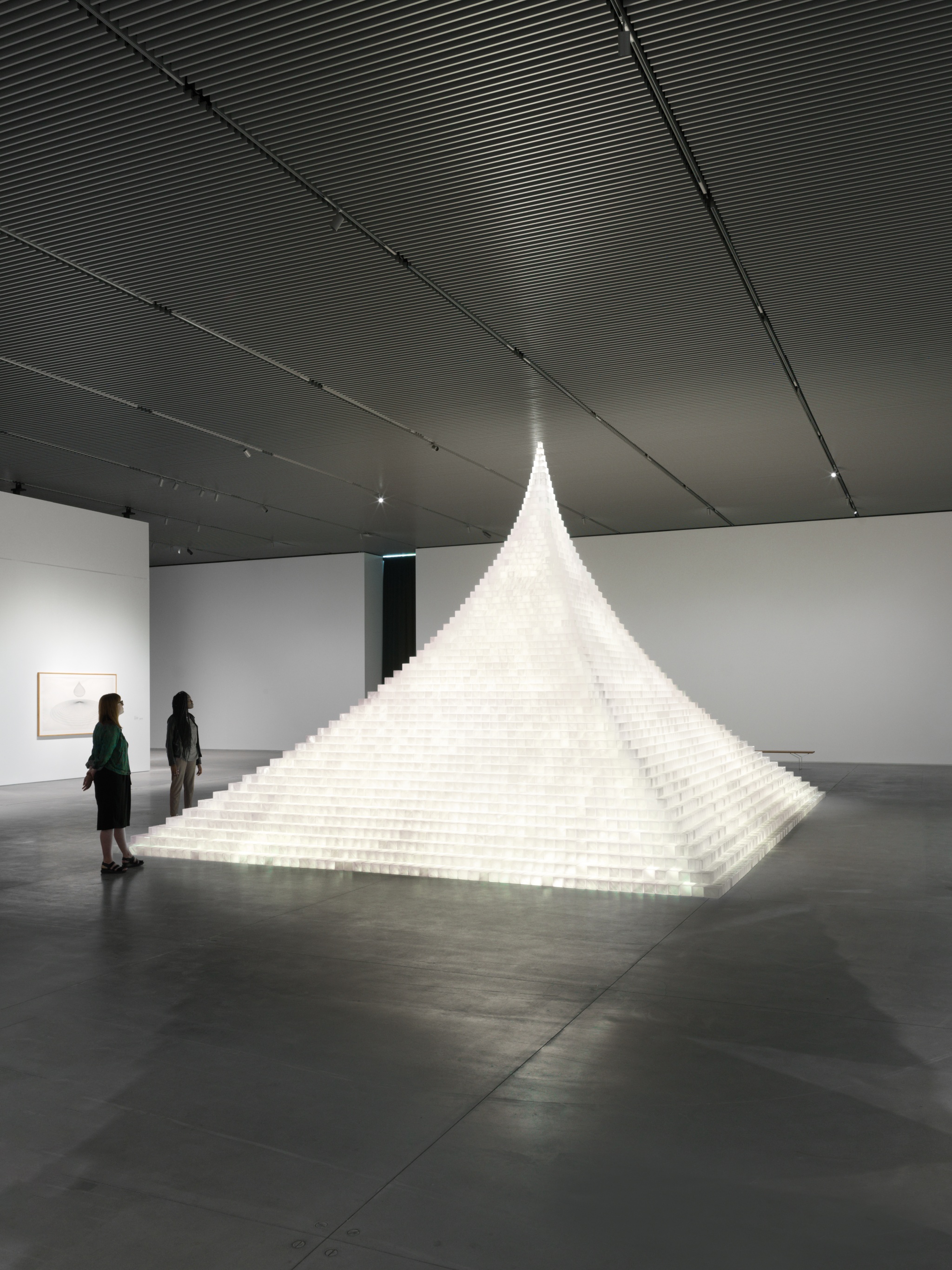 Agnes Denes: Absolutes and Intermediates - The Shed