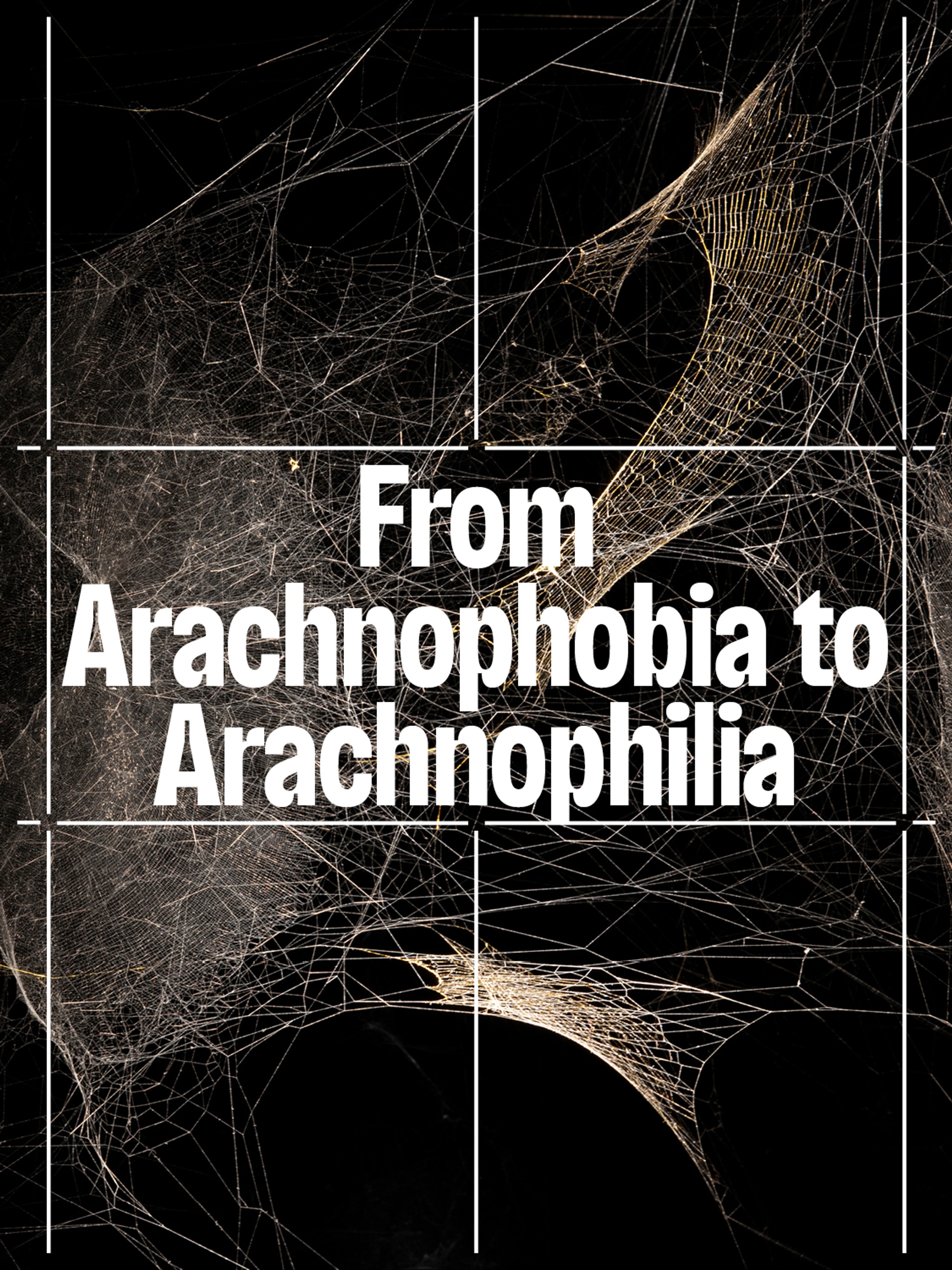 The event title "From Arachnophobia to Arachnophilia" overlaid on a photo of a dramatically lit spider web in a dark gallery space.