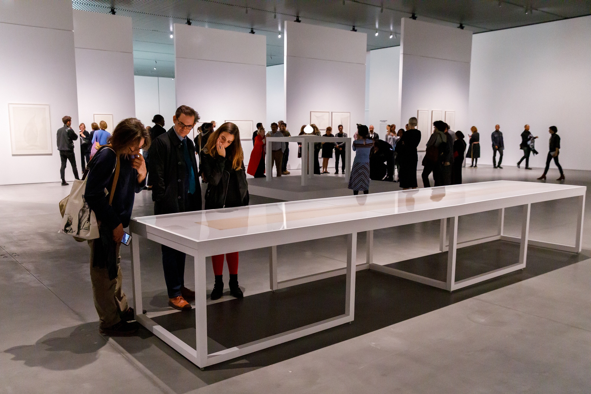 Museum goers looking at Agnes Denes' artwork in a vitrine display case.