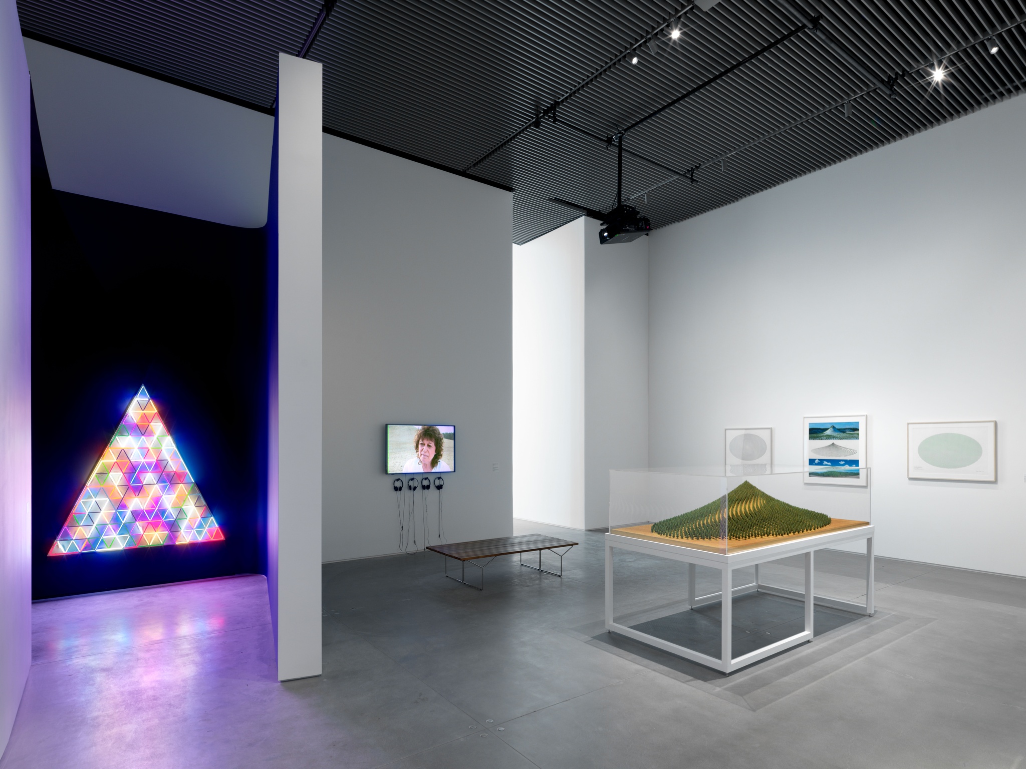 An installation view of Agnes Denes' work for Absolutes and Intermediates