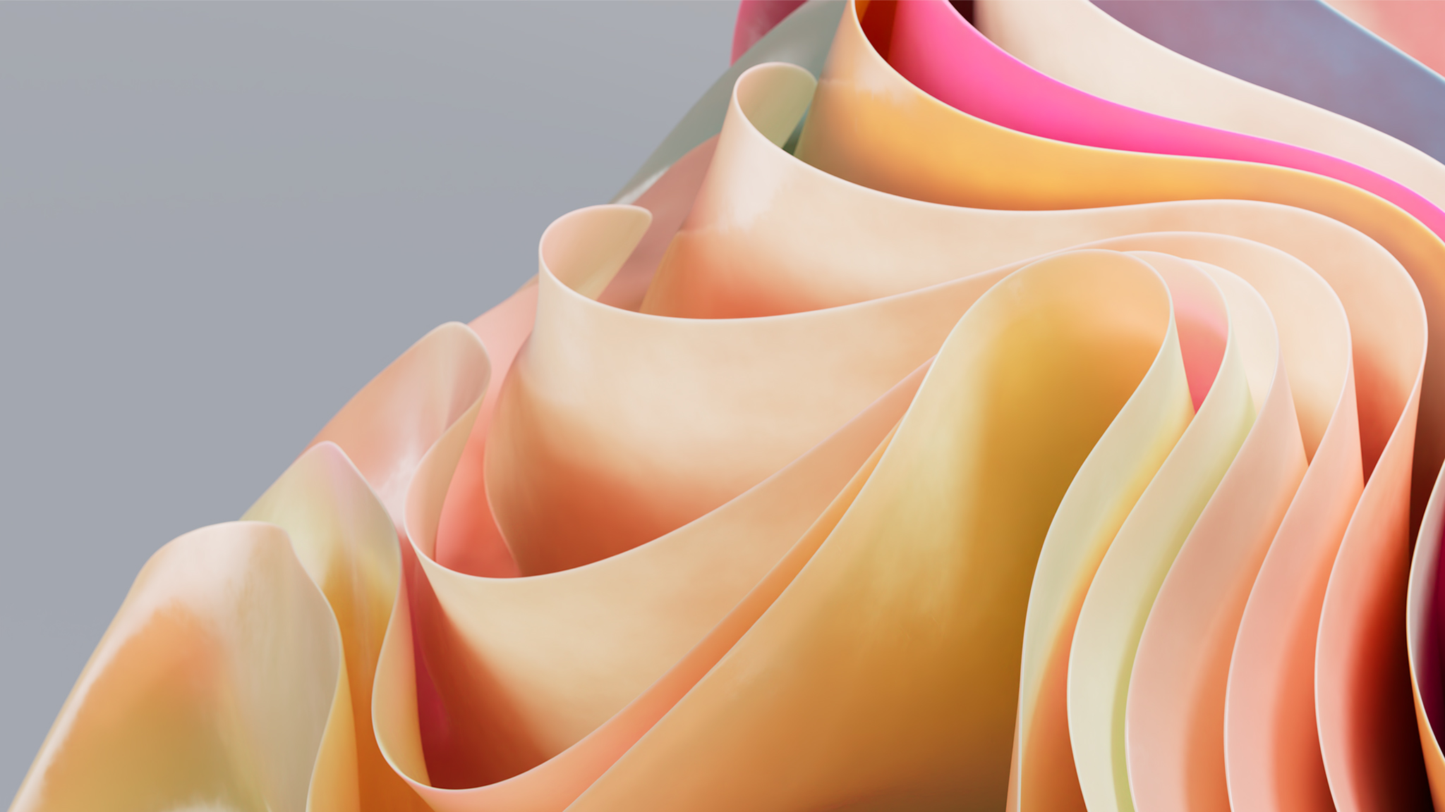 A pastel sheaf that seems to be made of pink and peach soft molded plastic or supple paper, arrayed in soft folds that resemble flower petals