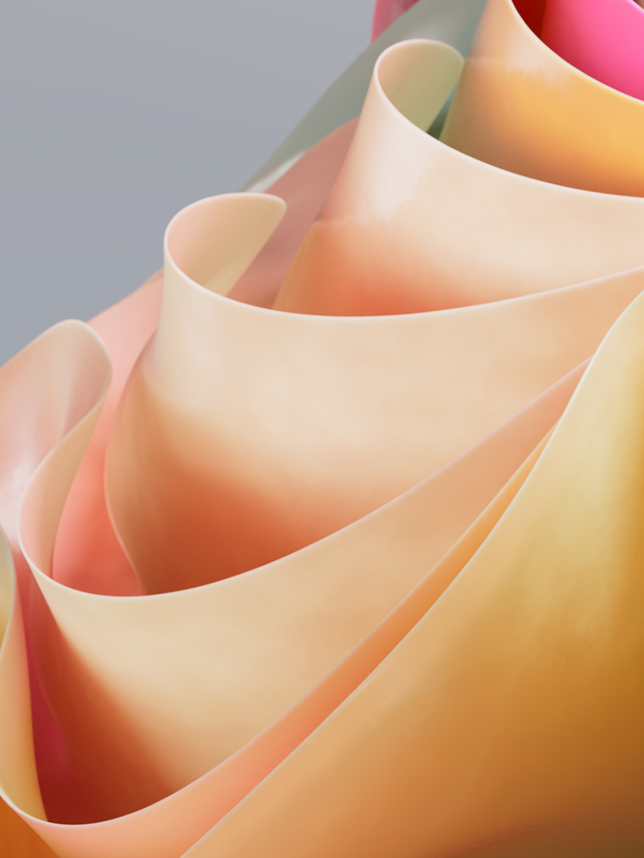 A pastel sheaf that seems to be made of pink and peach soft molded plastic or supple paper, arrayed in soft folds that resemble flower petals